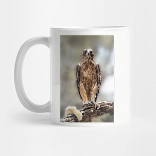 Little Eagle with Prey Mug